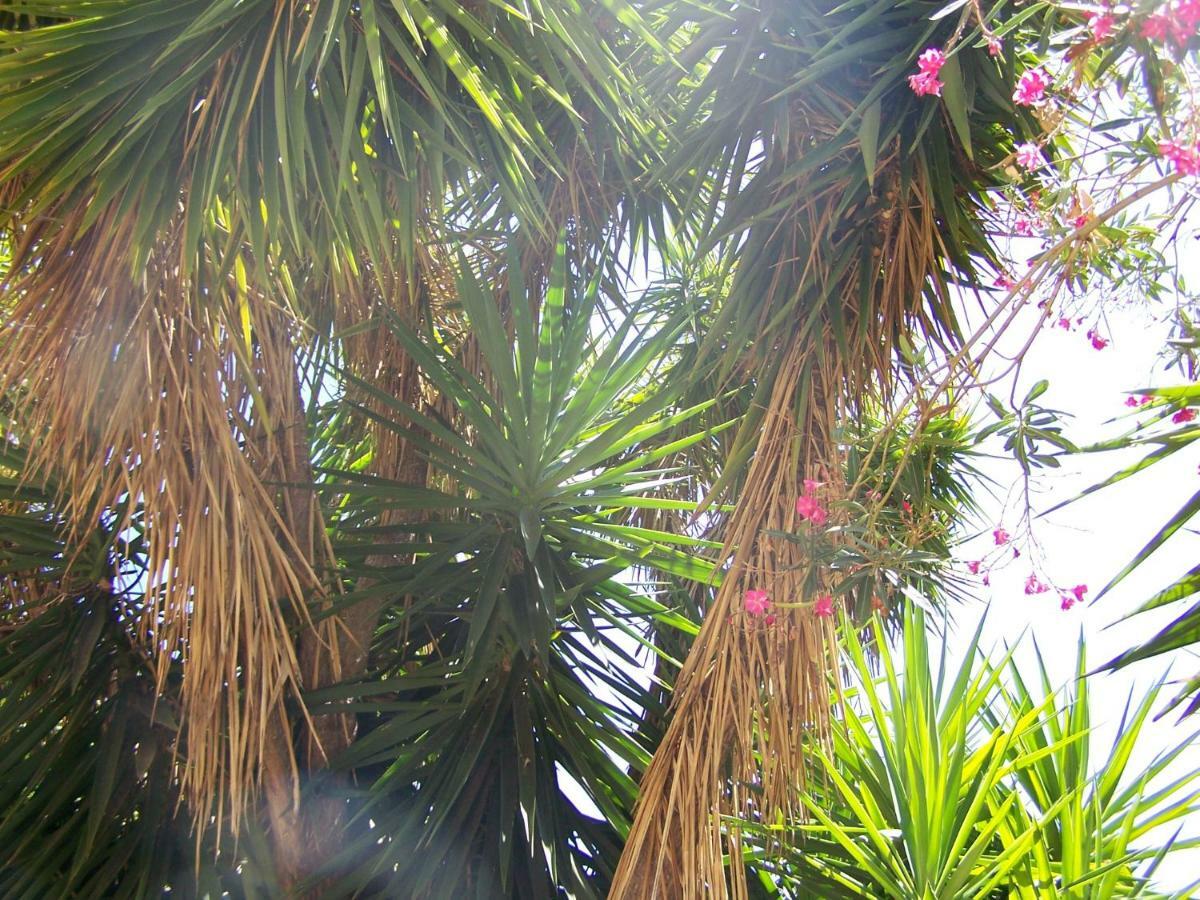 Grand Studio-Loft-Grand Parking-Climatise-Proche Centre Ajaccio  Esterno foto